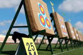 华体会hth-关于澳大利亚射箭队实力抢眼获得好成绩的信息