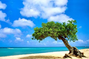 华体会app-两地横扫，一种统治力，浙江轻取北京，詹姆斯在意甲焦点战接管比赛